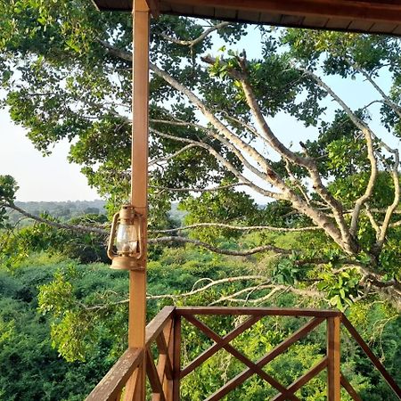 Отель Leopard Nest - Glamping In Яла Экстерьер фото