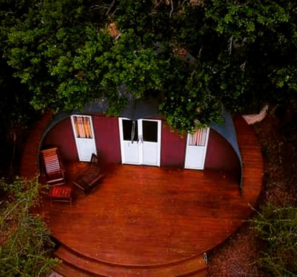 Отель Leopard Nest - Glamping In Яла Экстерьер фото