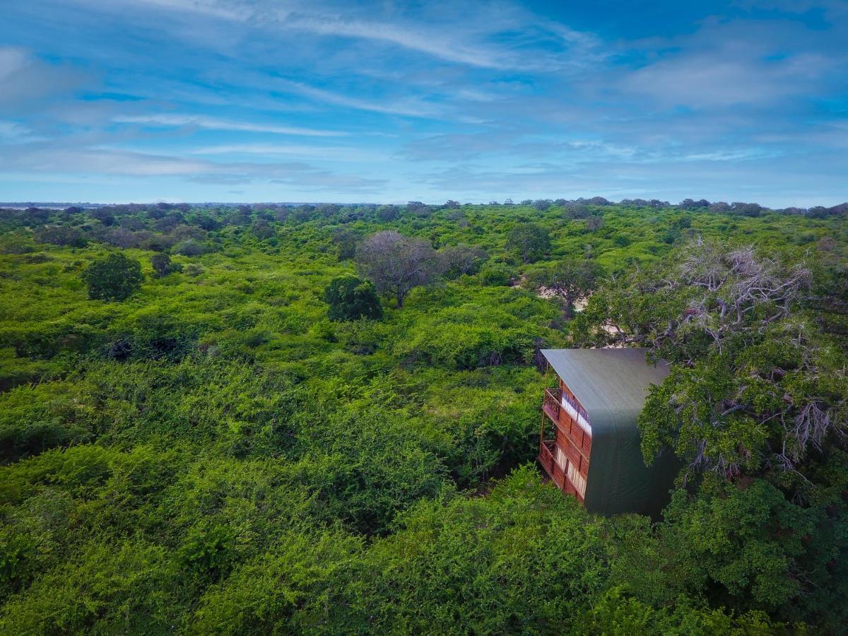 Отель Leopard Nest - Glamping In Яла Экстерьер фото