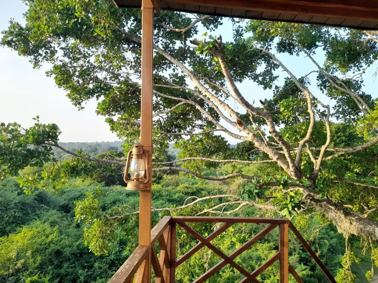 Отель Leopard Nest - Glamping In Яла Экстерьер фото