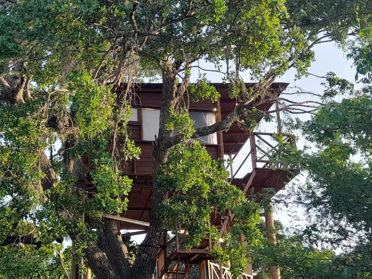 Отель Leopard Nest - Glamping In Яла Экстерьер фото