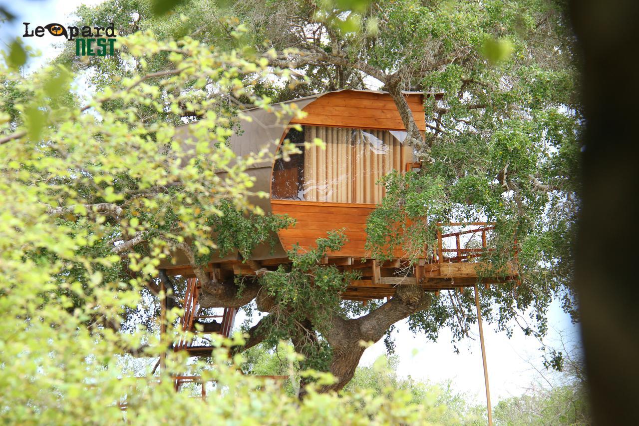 Отель Leopard Nest - Glamping In Яла Экстерьер фото