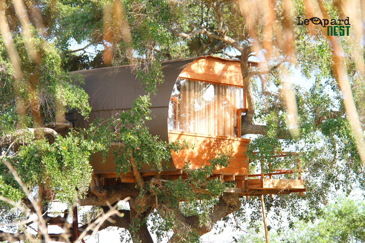 Отель Leopard Nest - Glamping In Яла Экстерьер фото