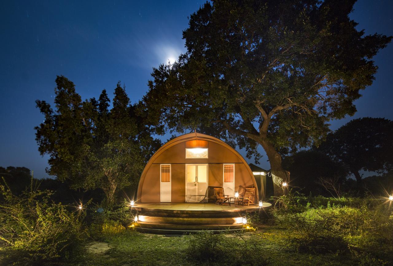 Отель Leopard Nest - Glamping In Яла Экстерьер фото
