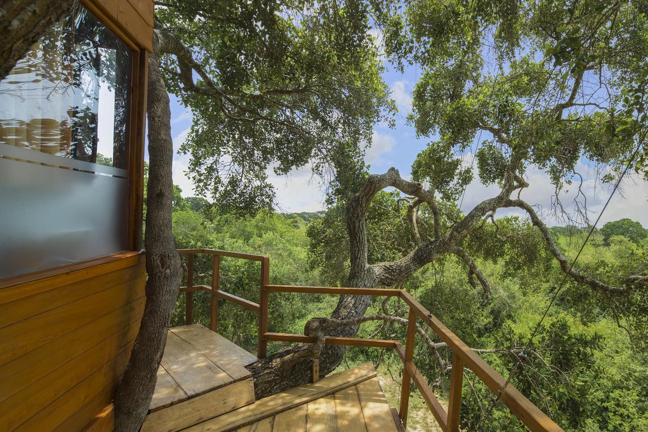 Отель Leopard Nest - Glamping In Яла Экстерьер фото