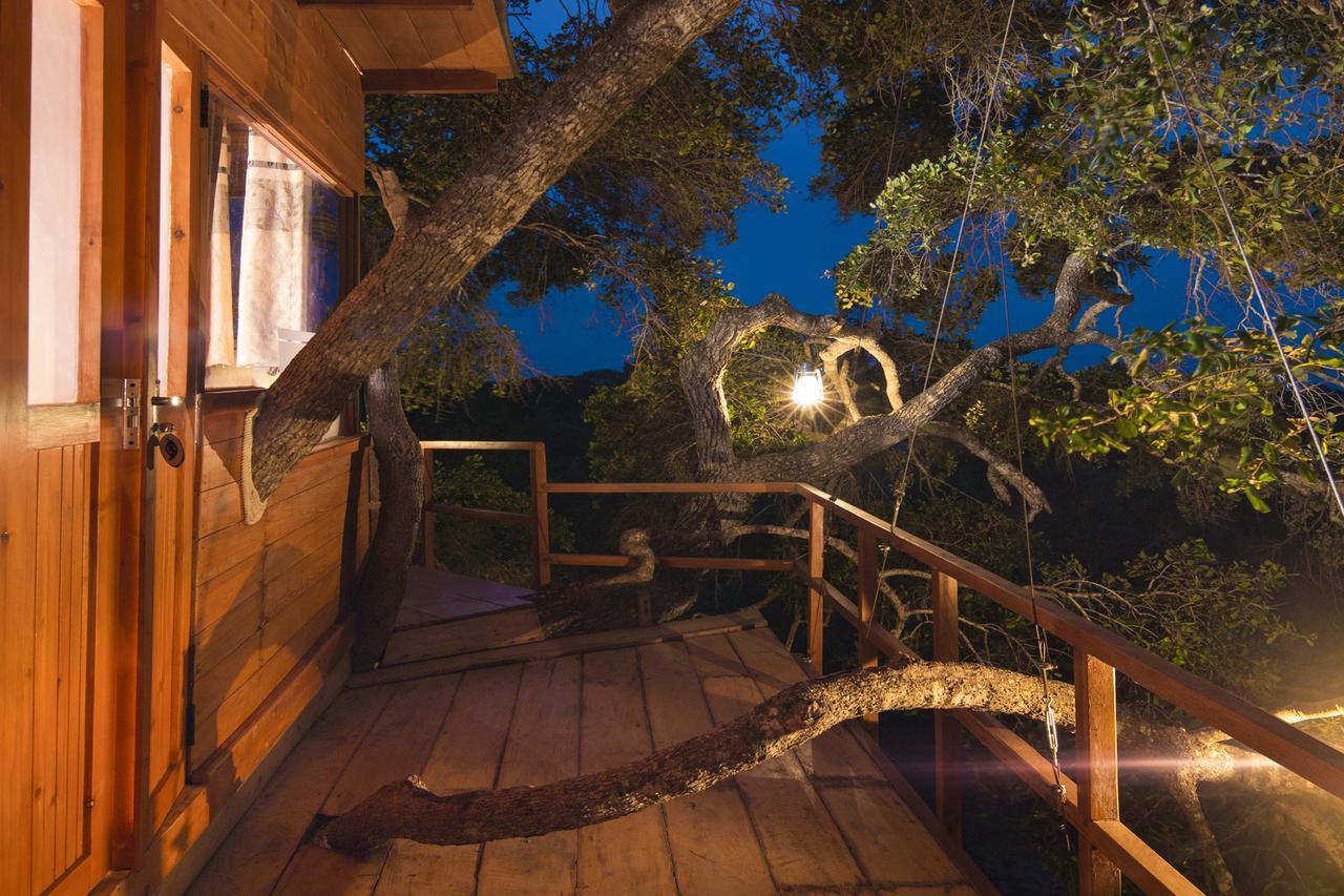 Отель Leopard Nest - Glamping In Яла Экстерьер фото